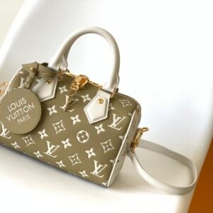 LV Speedy pillow bag