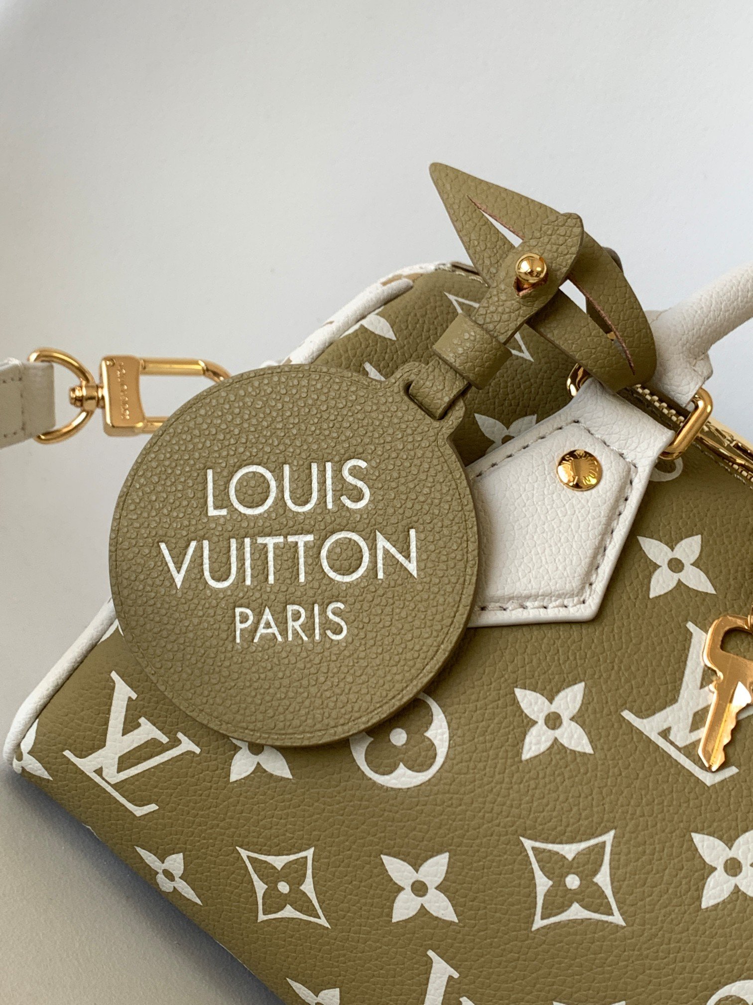 LV Speedy pillow bag - Image 6