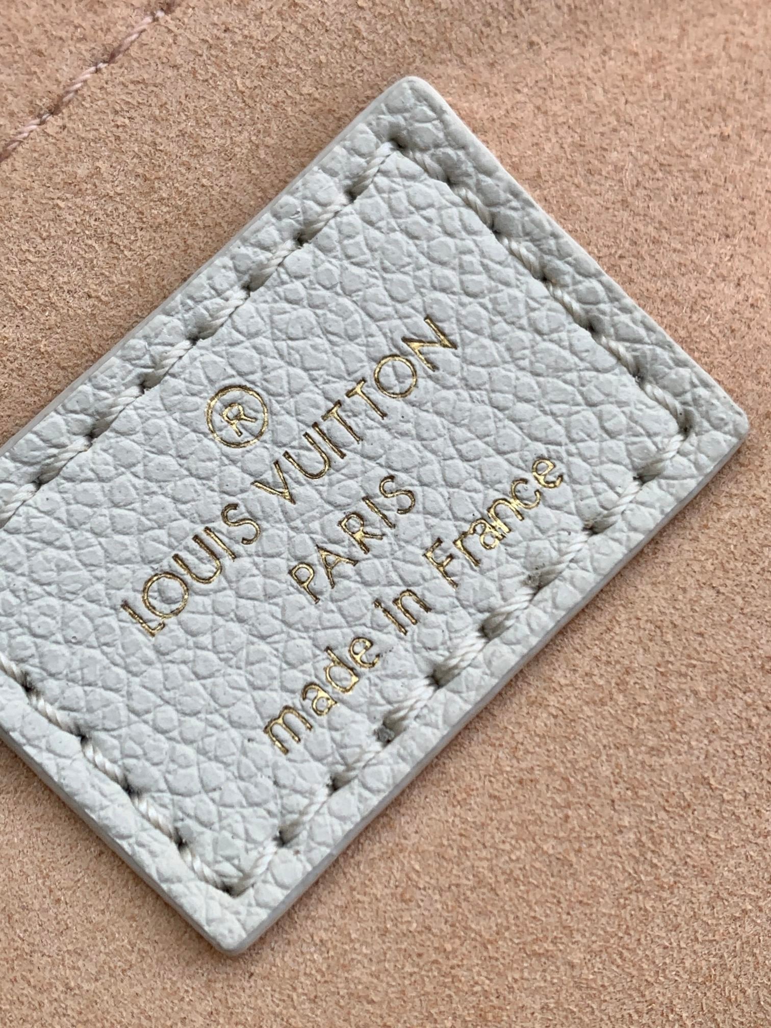LV Speedy pillow bag - Image 8