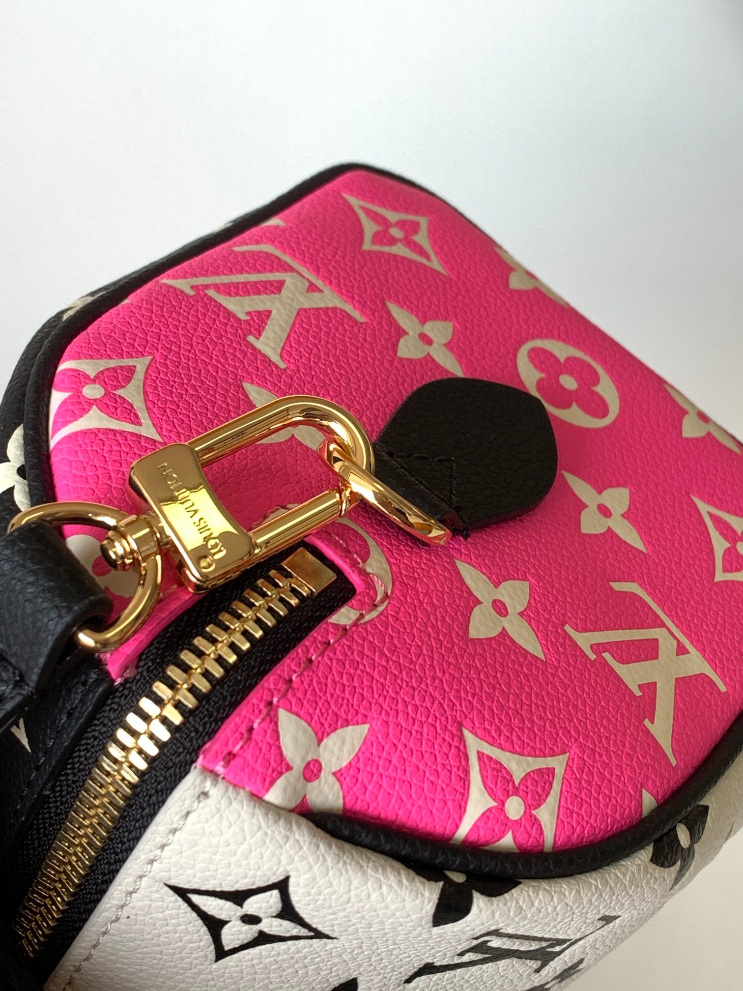 LV Speedy pillow bag - Image 6