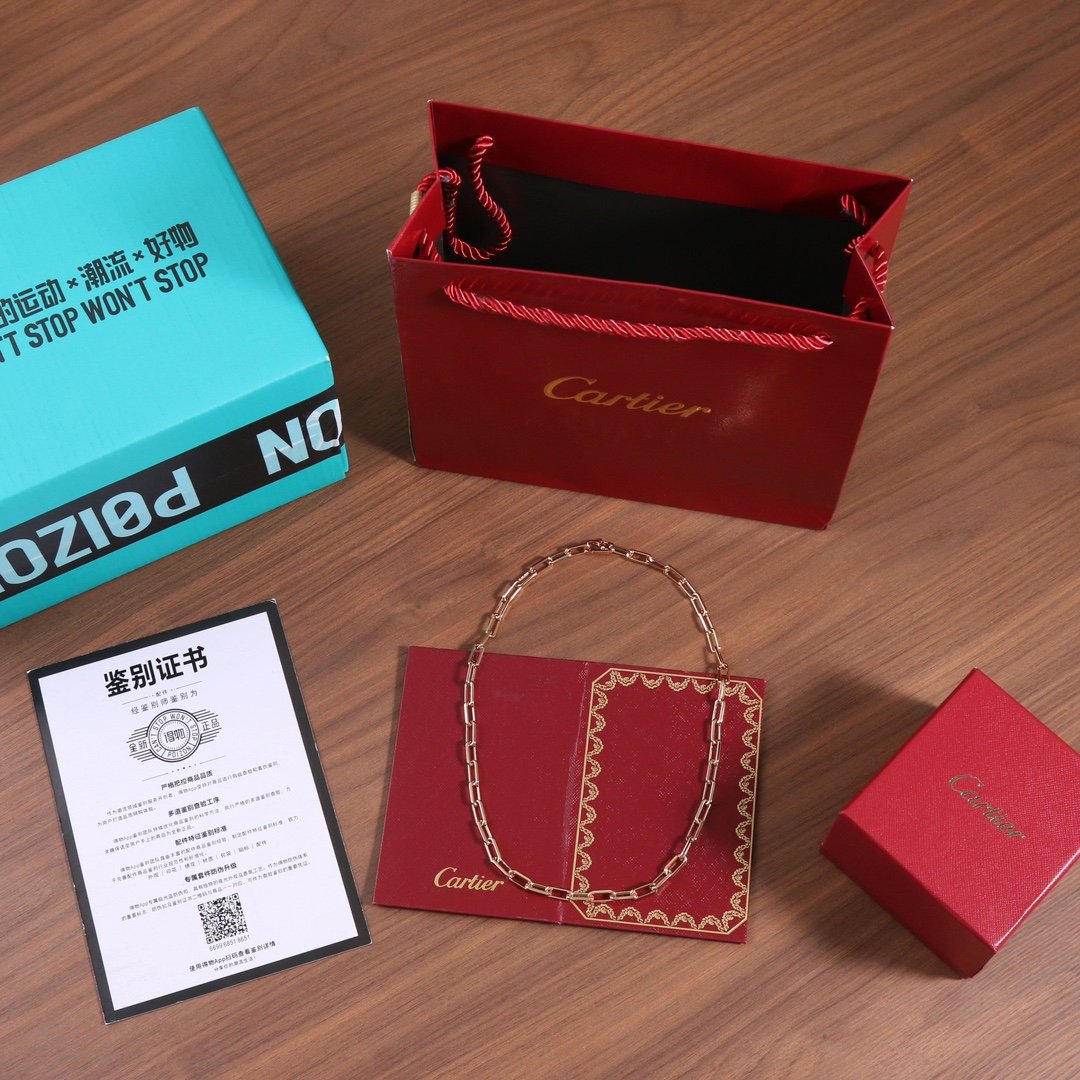 Cartier SANTOS DE necklace - Image 2