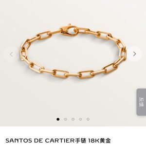 Cartier SANTOS DE Bracelet