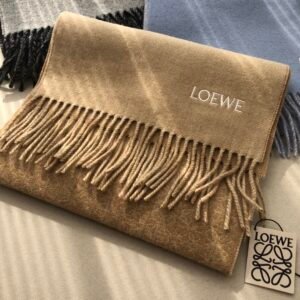 LOEWE color blocked scarf