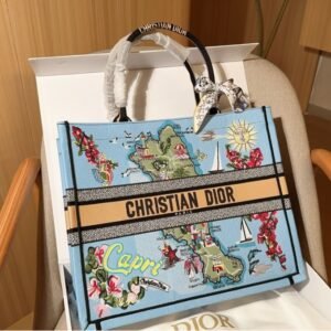 Dior's 25 Year Early Autumn New Tokyo Medium Tote Bag