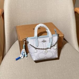 Coach Mini City15 Mini Tote Skewed Dumpling Bun for Women