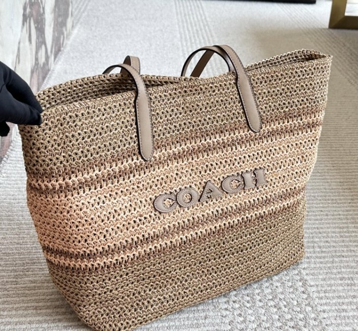 Coach Women's Multi functional Folding Tote Bag Portable Storage Computer Bag cm